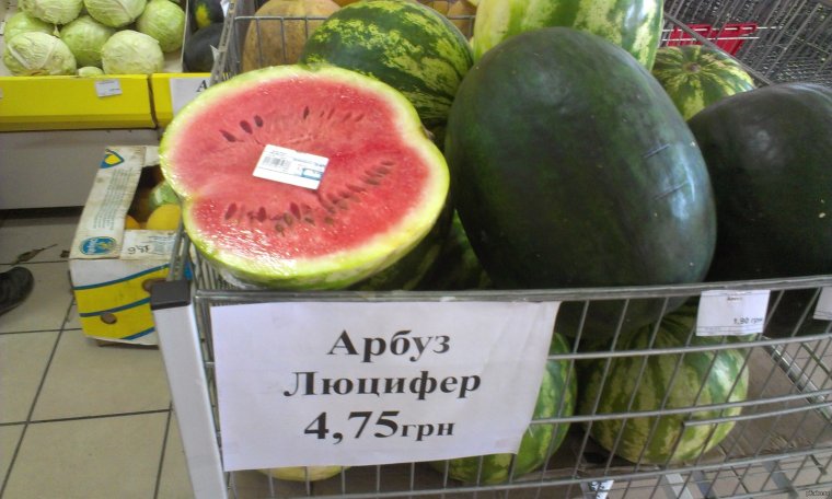 Дыня прикол