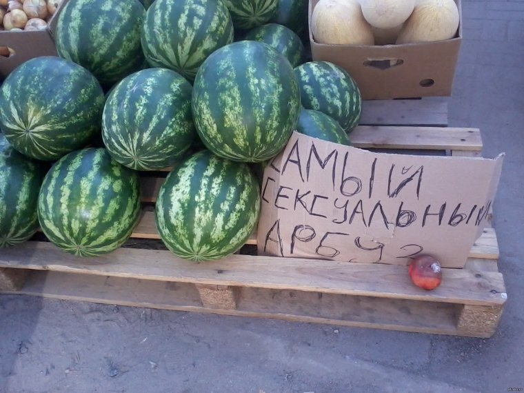 Дыня прикол
