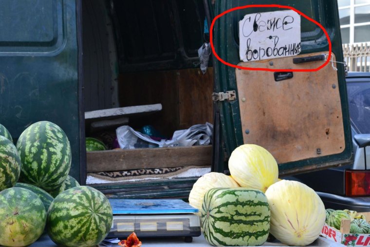 Дыня прикол