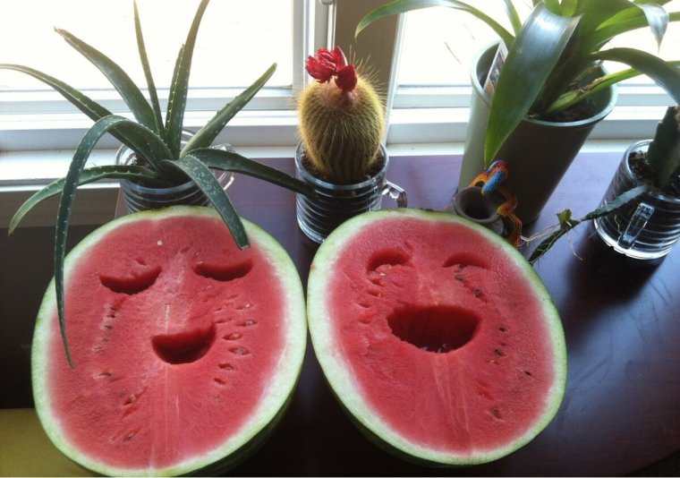 Арбуз прикол