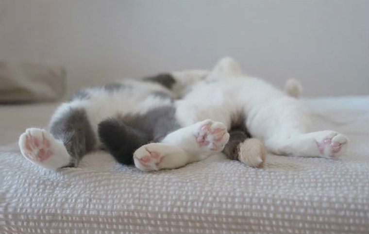 Утро воскресенья