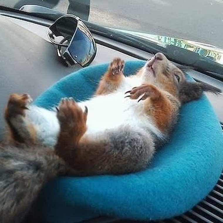 Отпуск на автомобиле