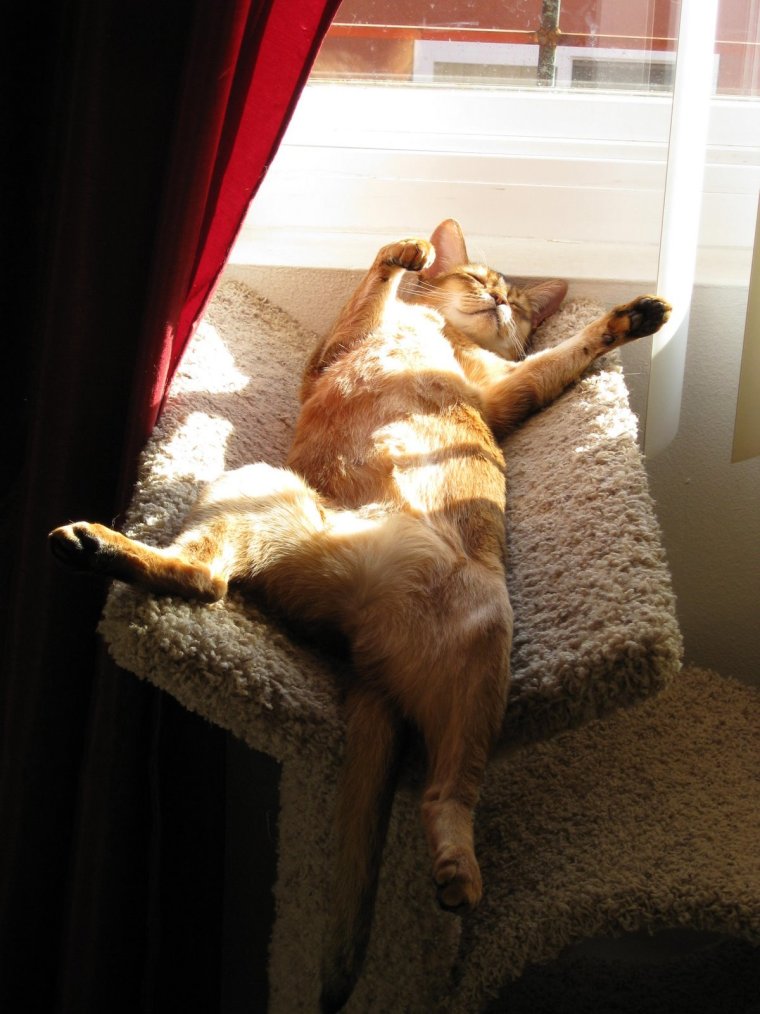 Расслабление смешные