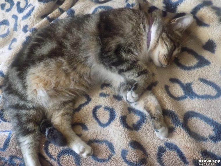 Фото Соня Засоня