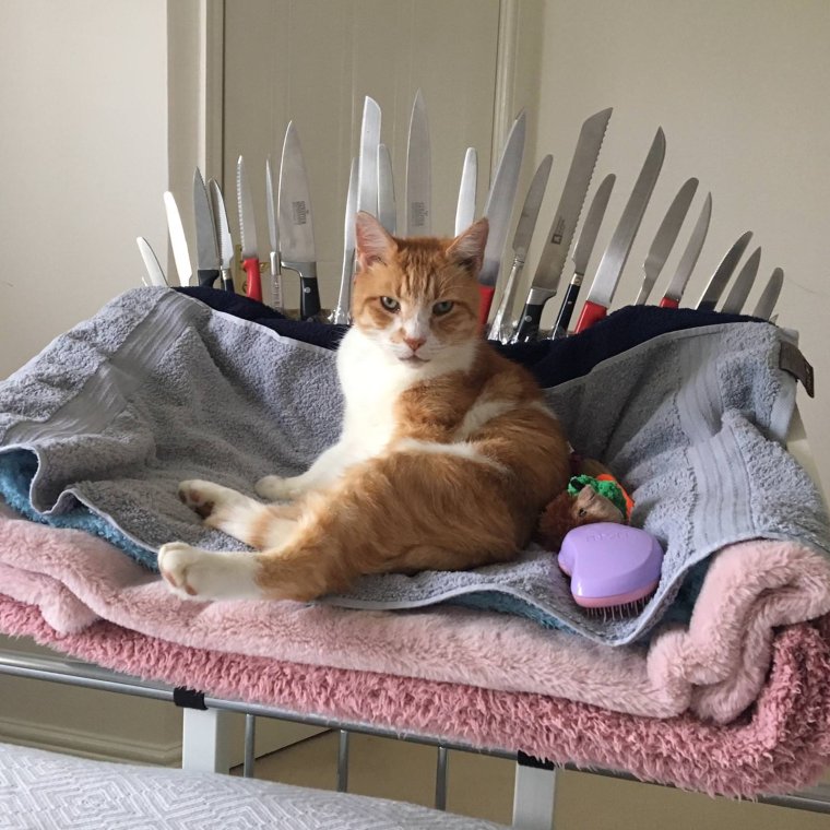 Приколы из жизни