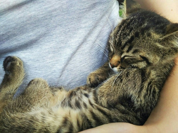 Доброе сонное утро