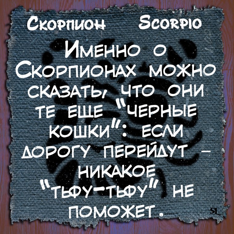 Про скорпионов высказывания
