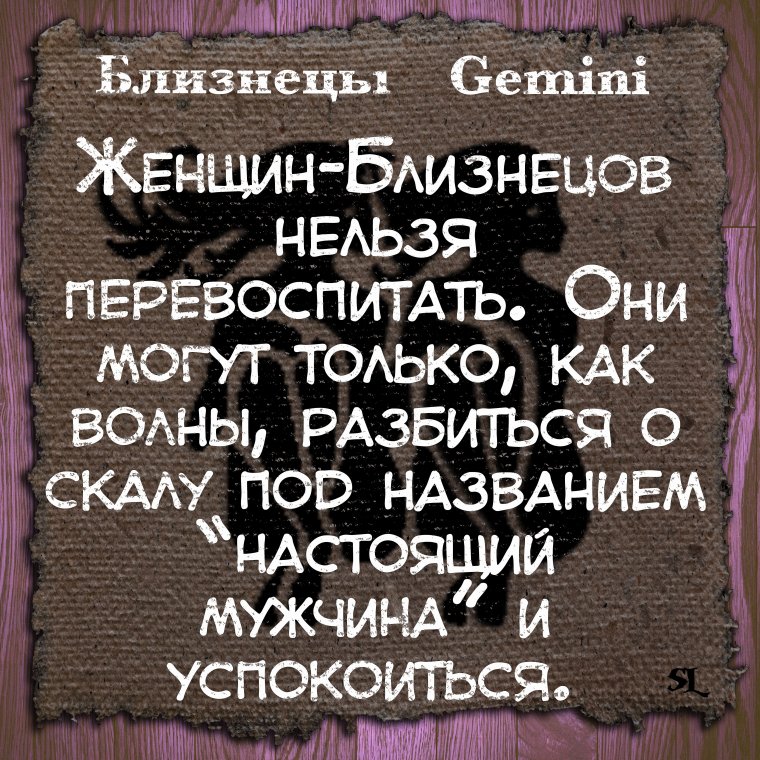 Близнецы смешные высказывания