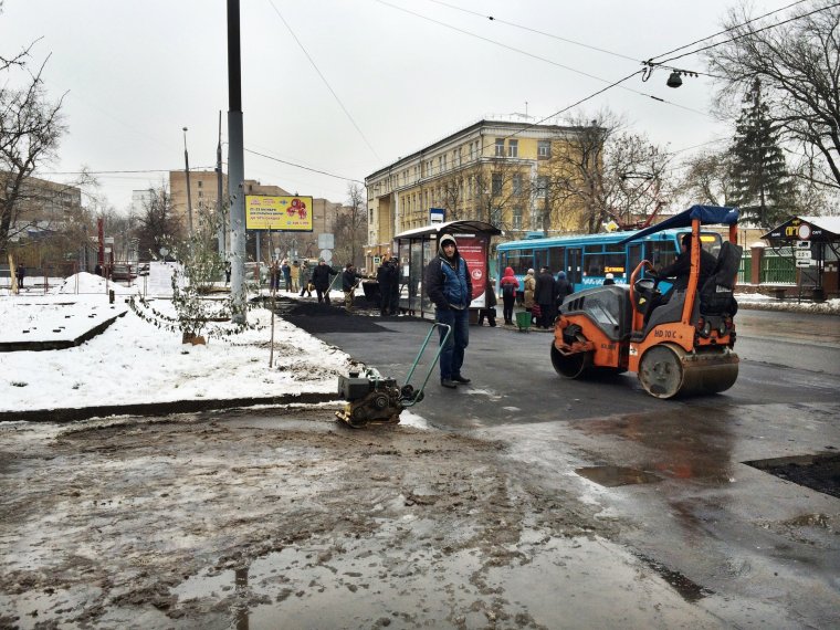 Медведи кладут асфальт