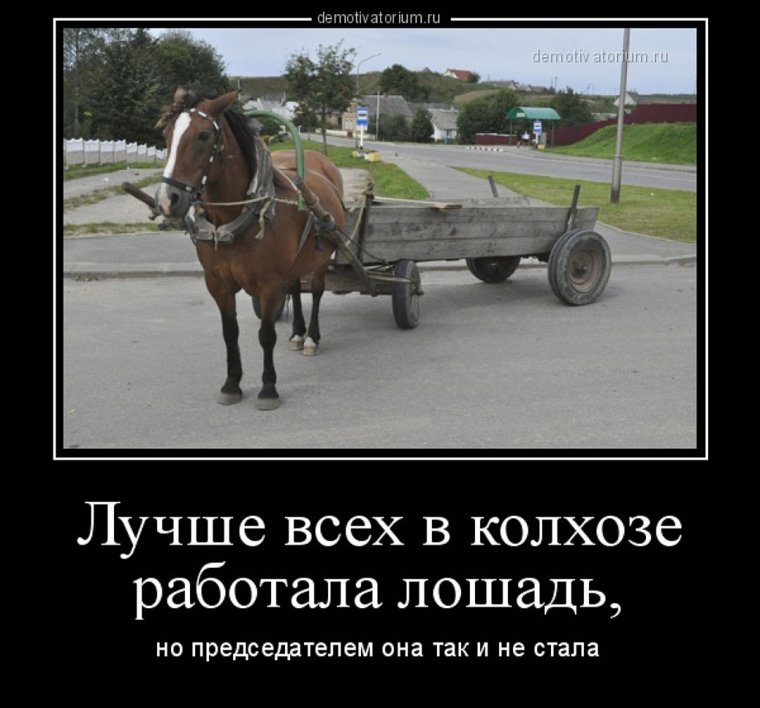 Сектор газа Колхозный панк