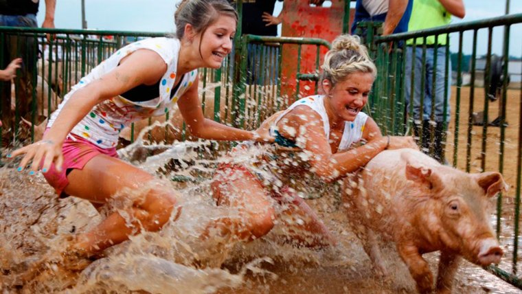 Началось в колхозе утро приколы