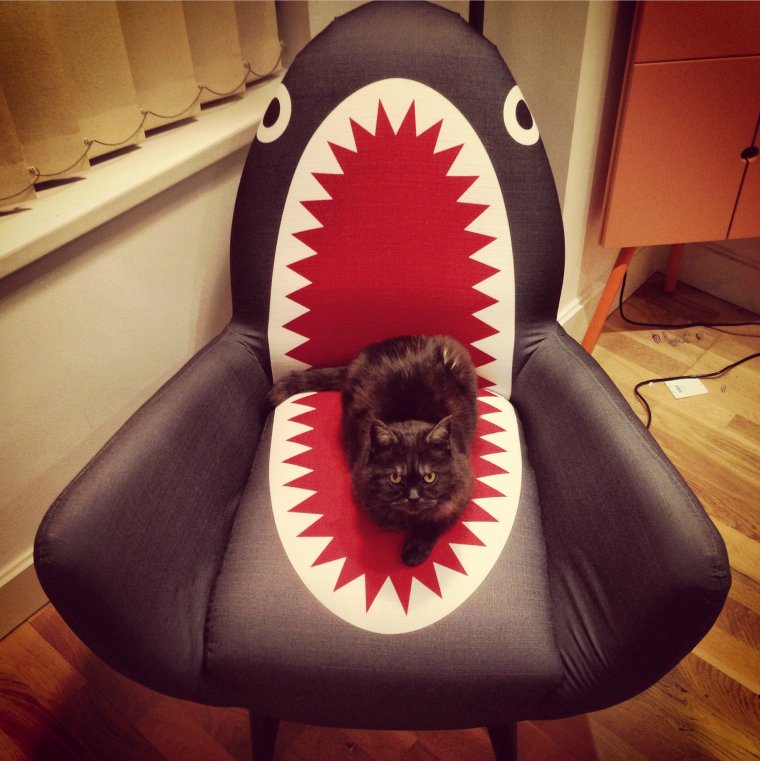 Кресло прикол