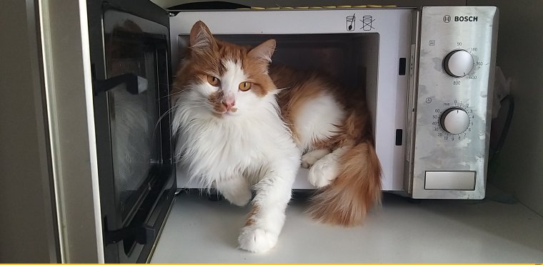 Неудачная еда