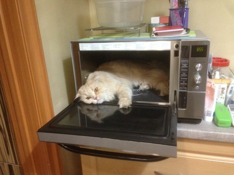 Микроволновка прикол