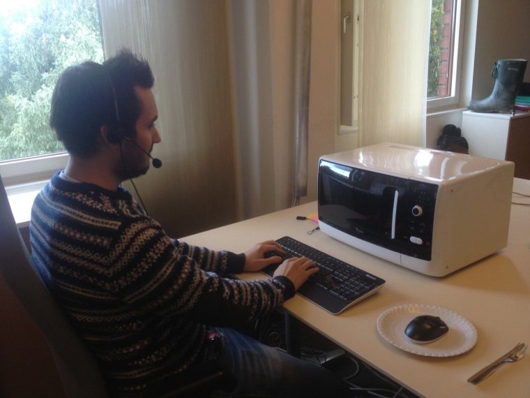 Кошка в микроволновке