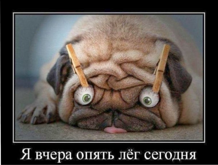 Спать демотиватор