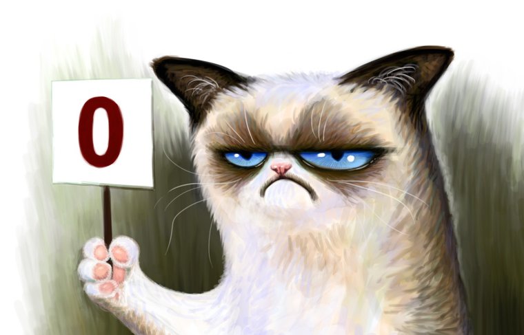 Грустный кот с табличкой