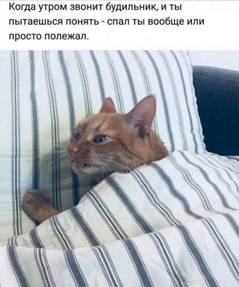 Когда только проснулся