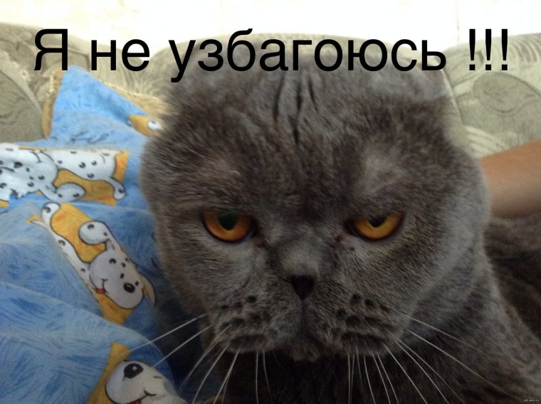 Я злая картинки