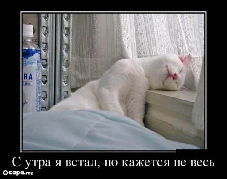 С утра я встал но кажется не весь