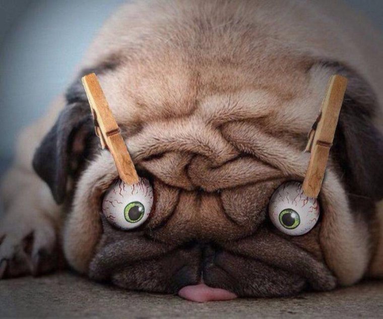 Сонное утро приколы