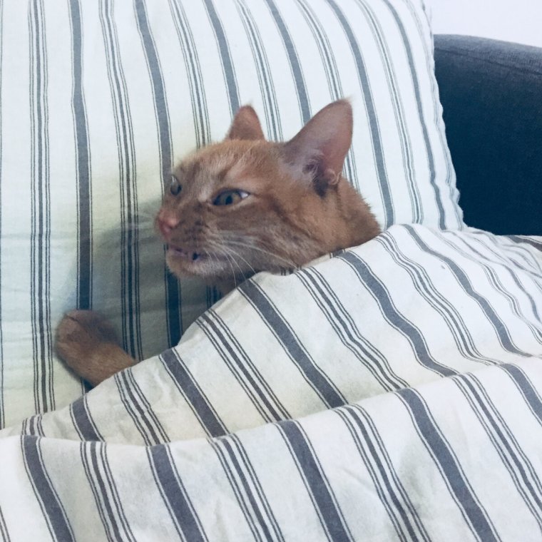 Я вообще спал,или полежал просто