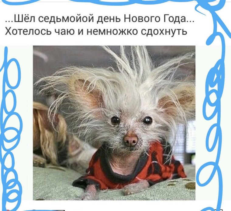 Шел седьмой день нового года