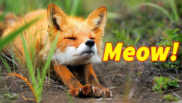 Шутки про утро