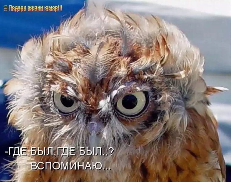 Утро добрым не бывает