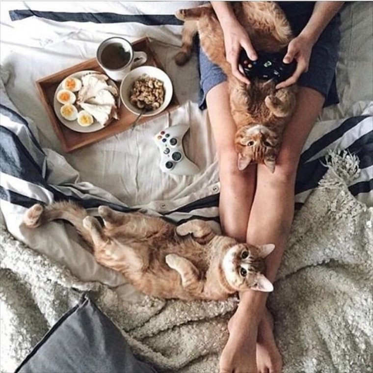 Девушка с утра приколы