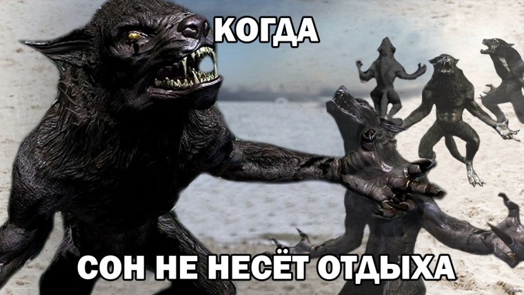 Шутки про оборотней