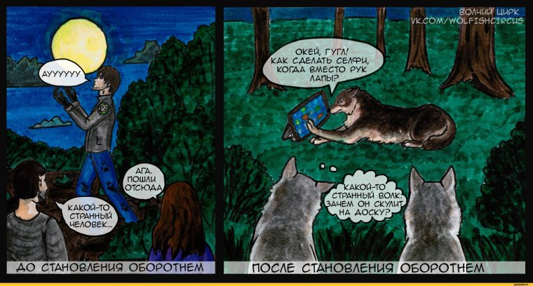 Анекдоты про оборотней