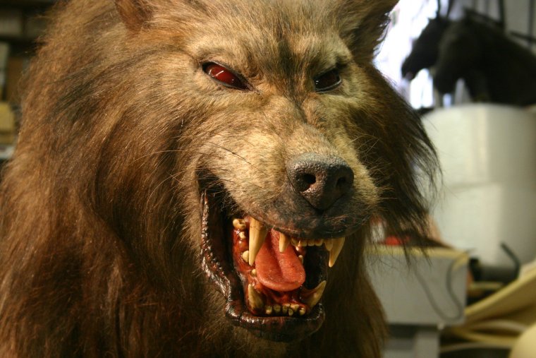 Оборотень из ужастики 2015