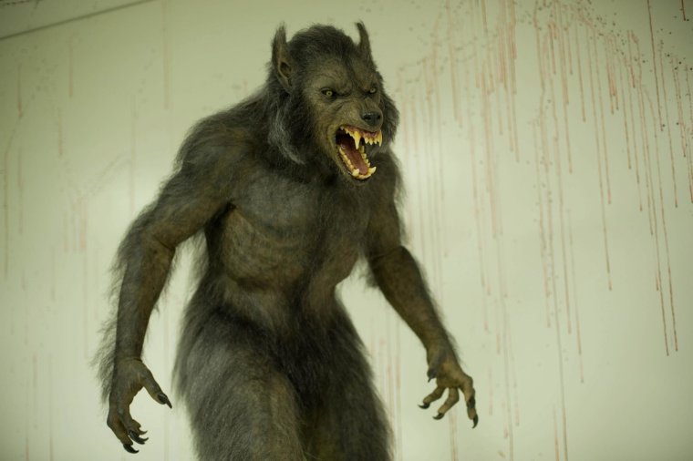 Вампирский засос фильм 2010 Джейкоб