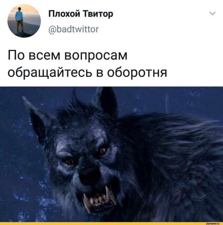 Поспать еще 5 минут прикол