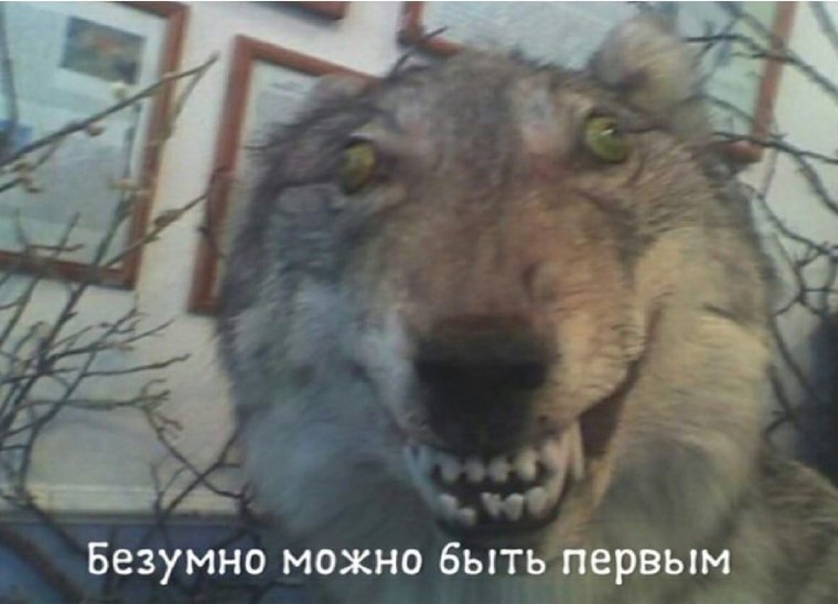 Оборотни из разных животных