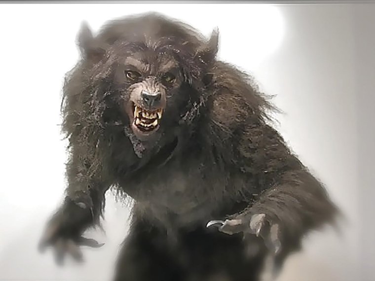 Смешные комиксы про оборотней