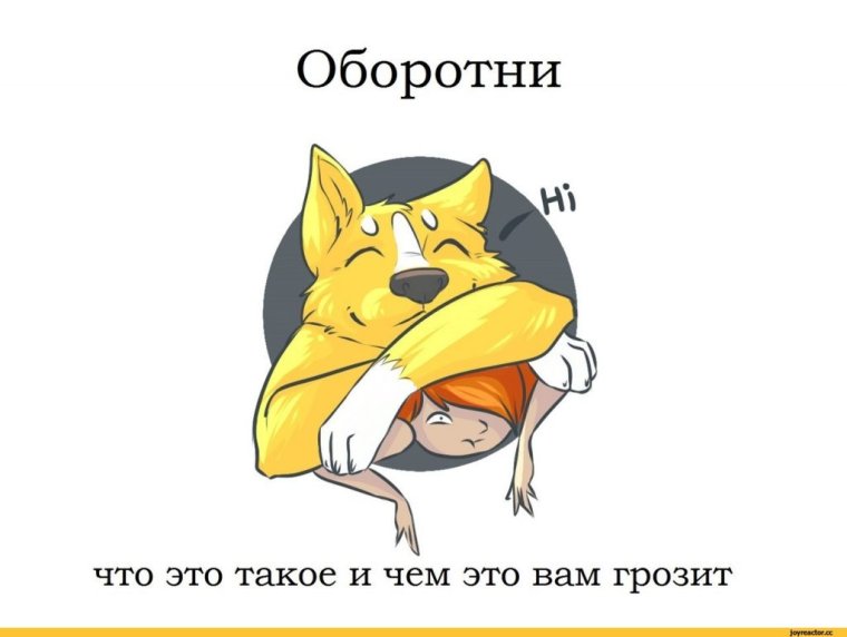 Волк-полицейский фильм 2014