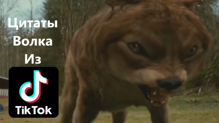 Намордники для собак "оборотень Классик"