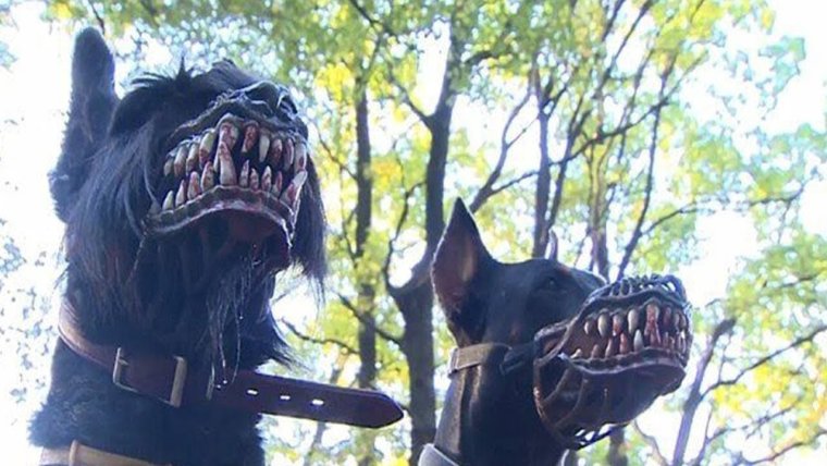 Фурсьют оборотень