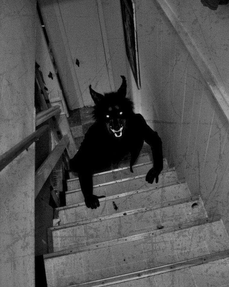 Женщина превращается в оборотня