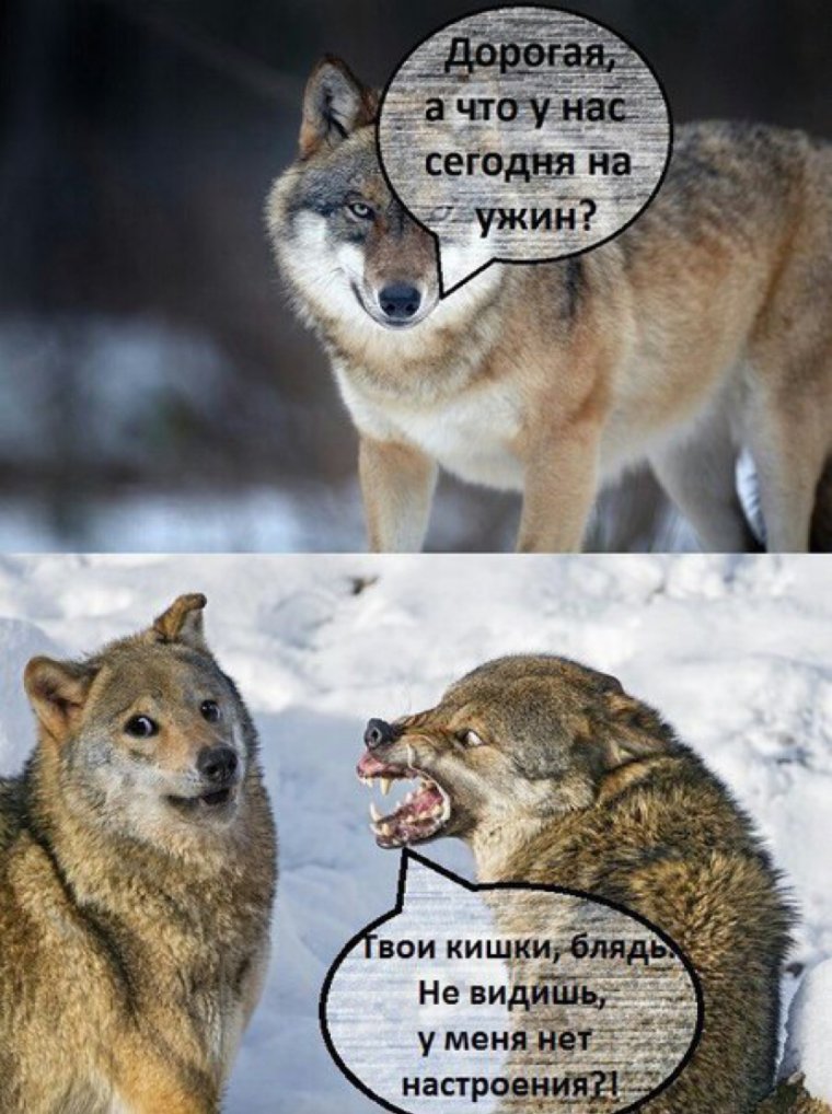 Дорогая а эти дни уже закончились