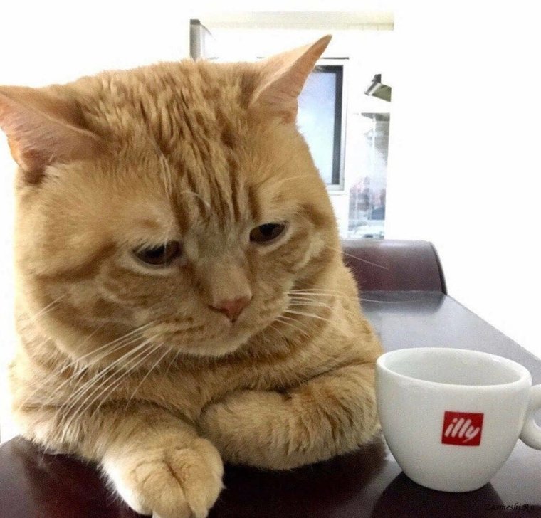 Смешной дорожный рабочий