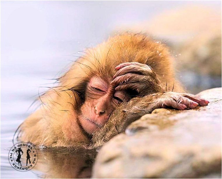 Устала картинки