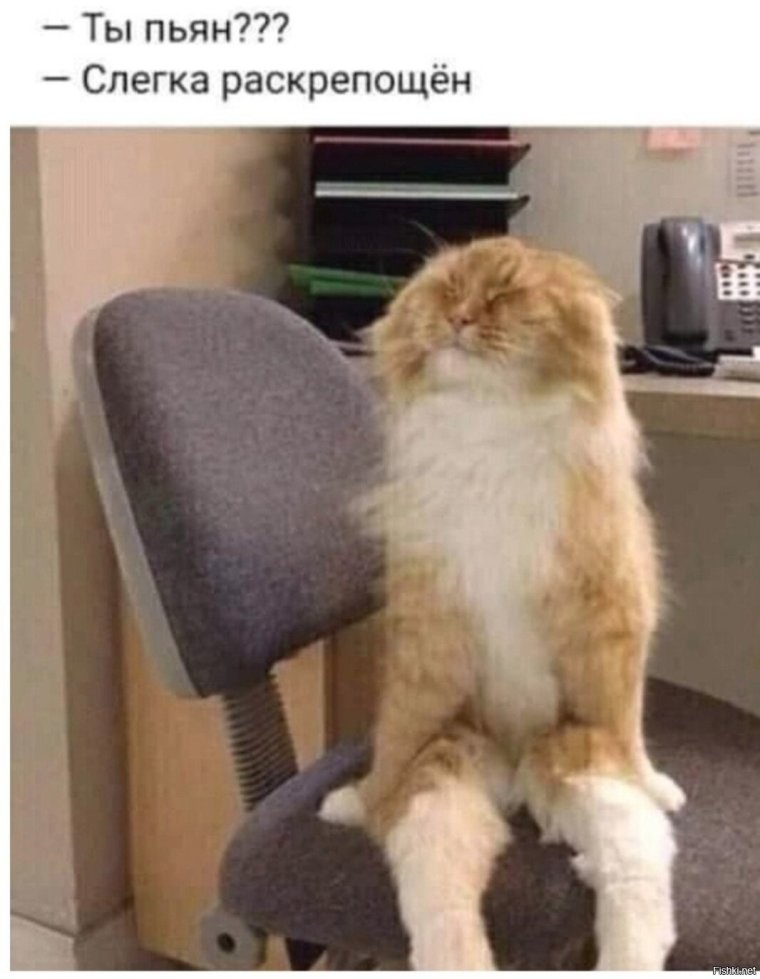 Утро на работе