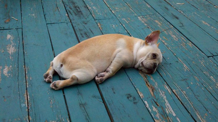 Устал прикол