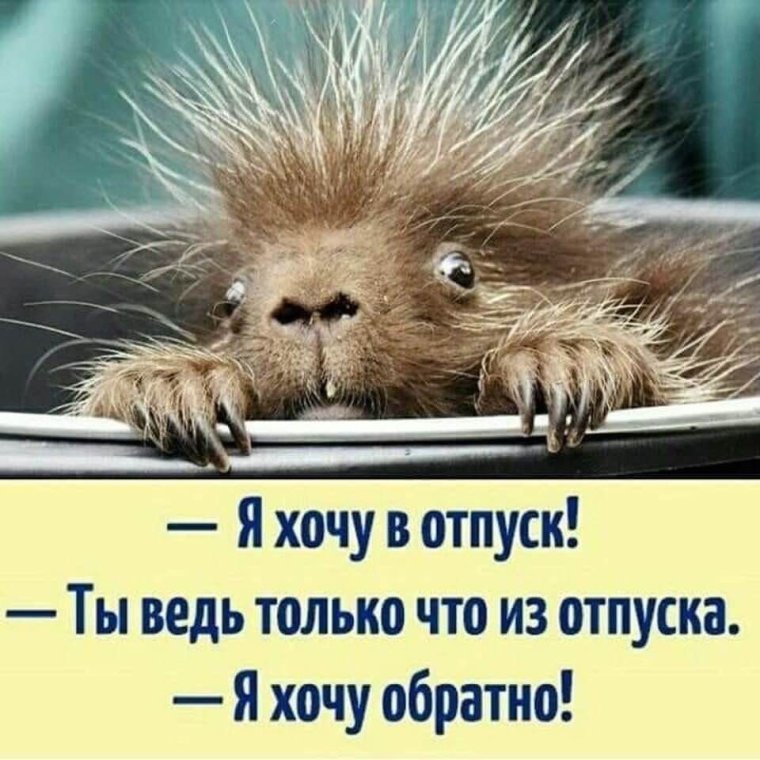 Шутки про первый день отпуска