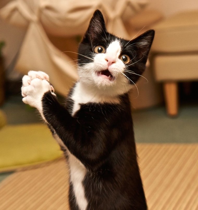 Завтра на работу прикол