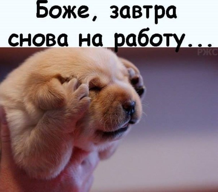 Завтра снова на учебу