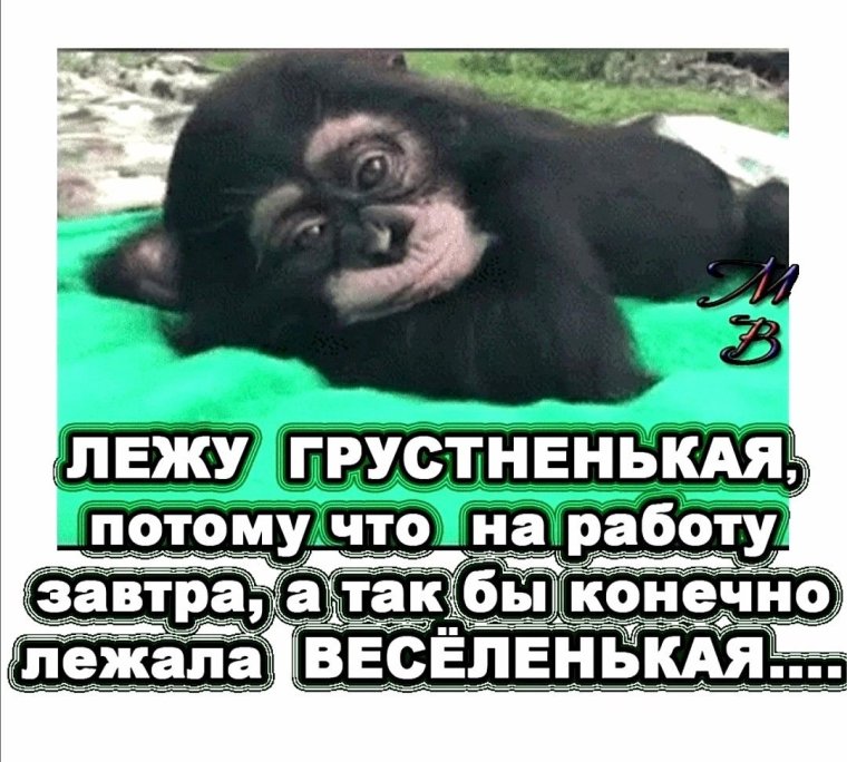 Лежу грустненькая потому